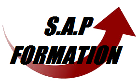 SAP Formation : texte noir et flèche rouge